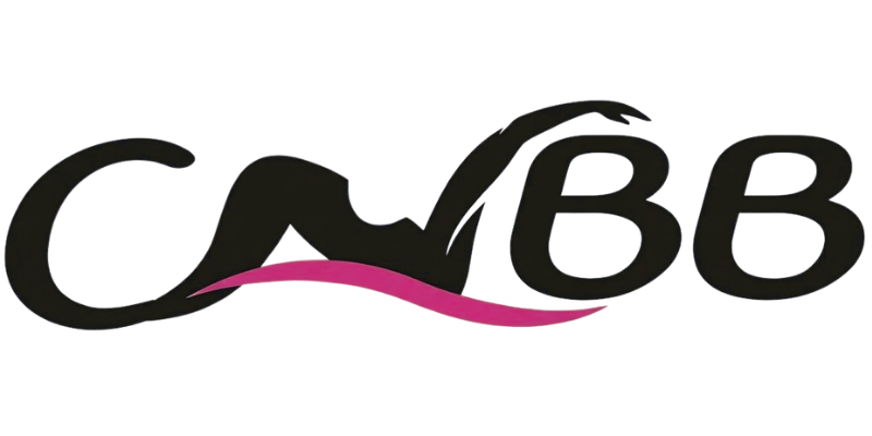 CNBB — accueil du site