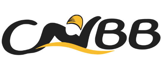 CNBB — accueil du site